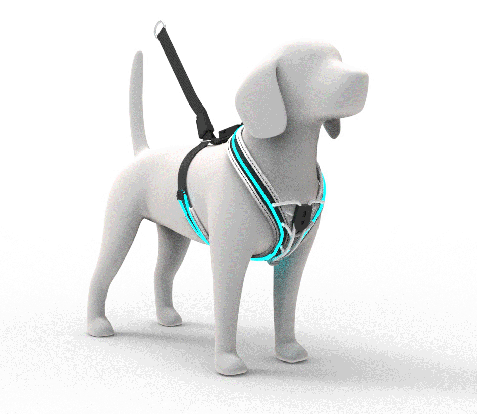 dog-vest-animation1